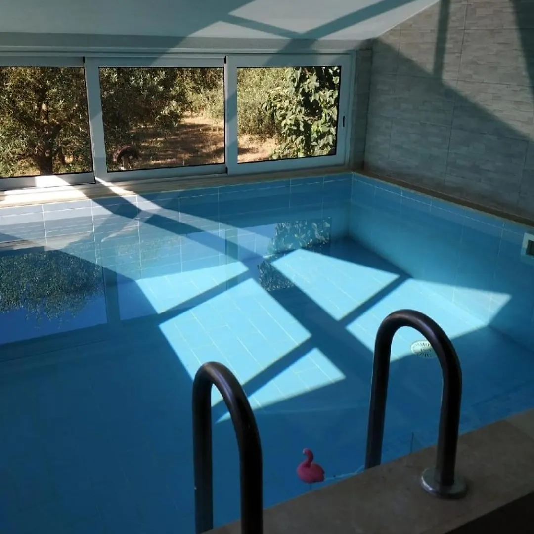 Oliveto Apartment Pula Croatia